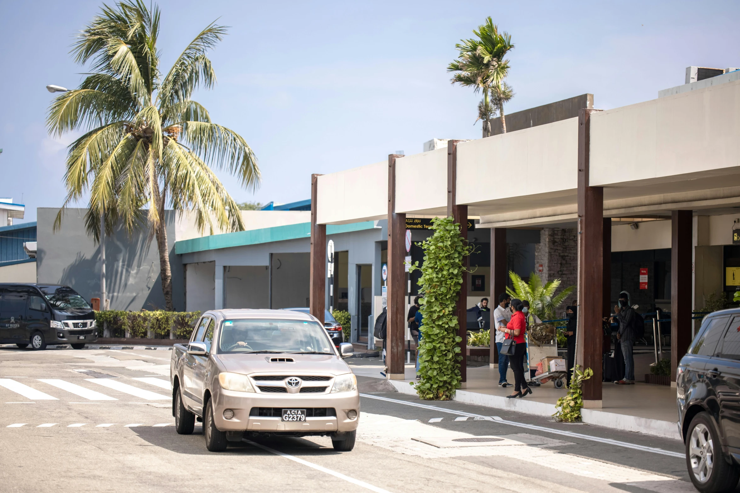 a white car on a city street next to tall palm trees