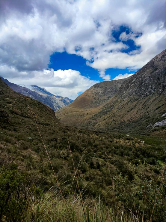 the grass and plants are growing in the valley