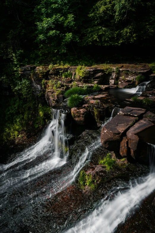 flowing water on a small river running through a forest