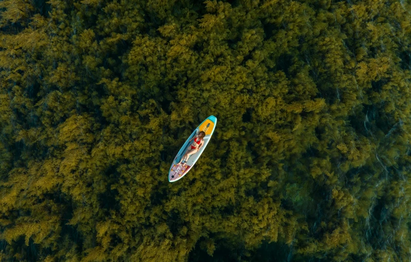 an overhead view of a surf board in the water