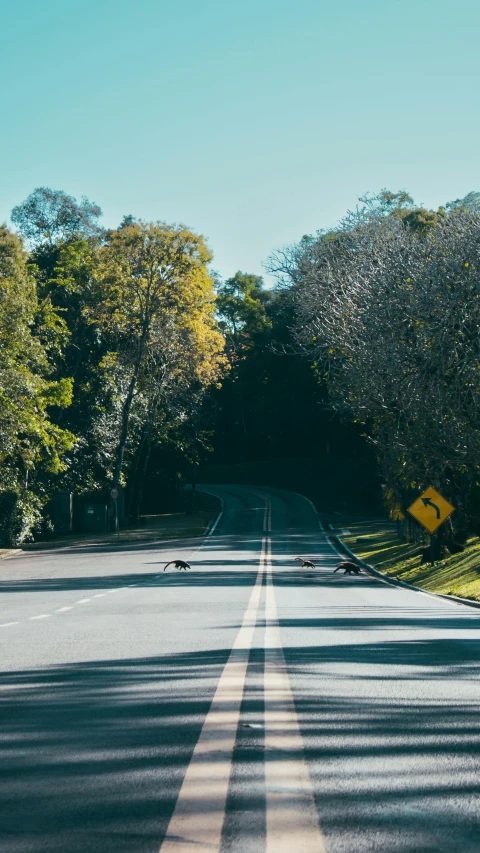 a man walks on a country road near trees