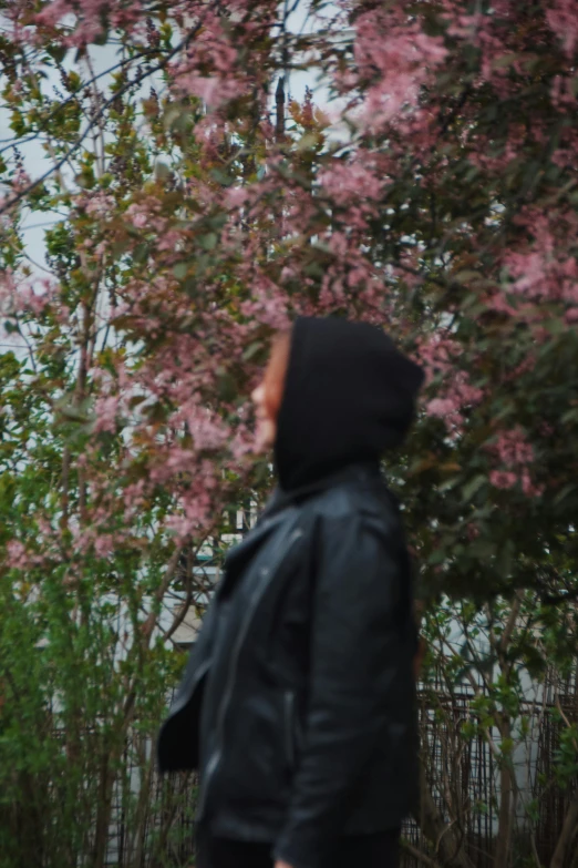 a man looks out at a tree with pink flowers