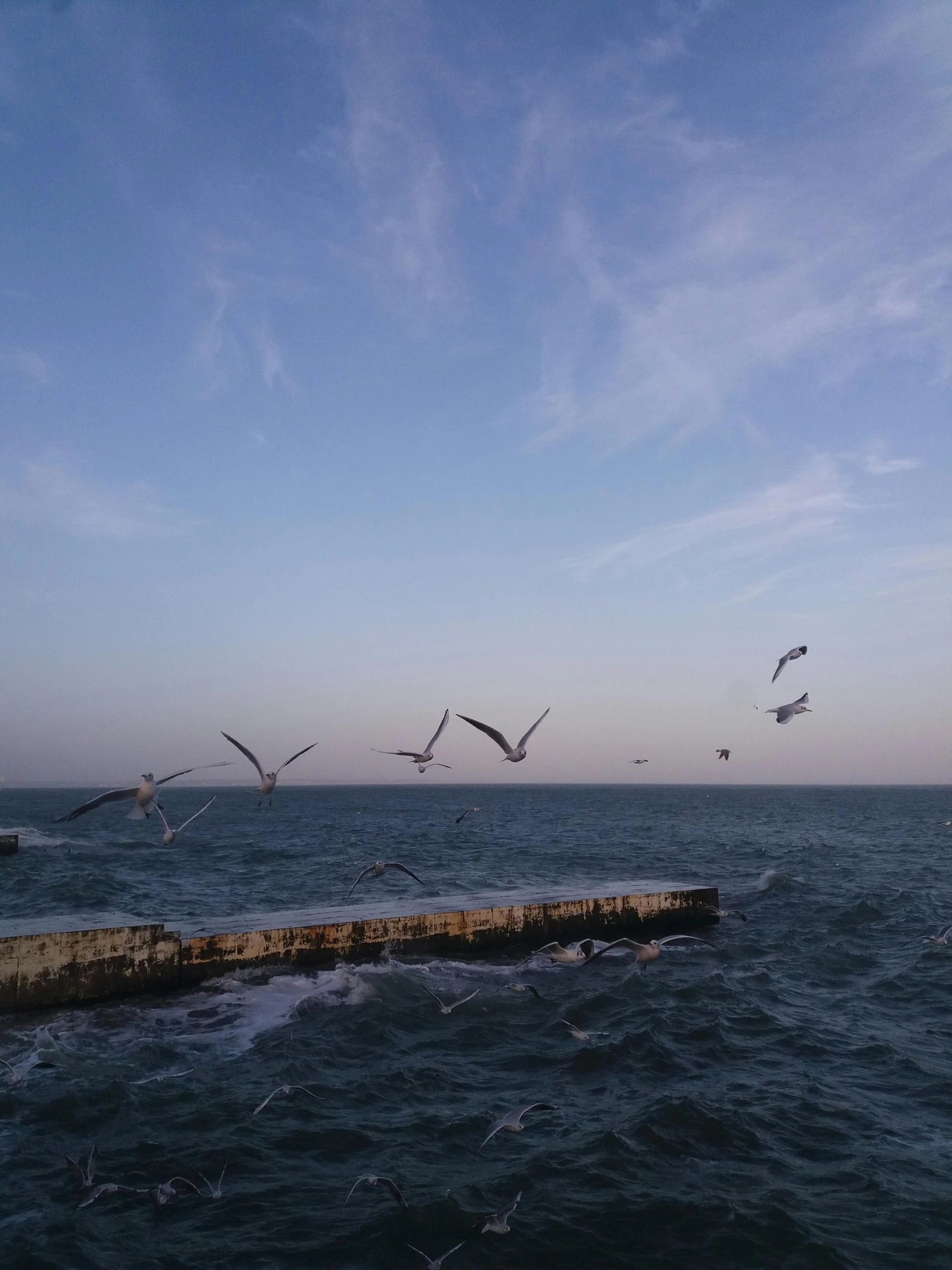 birds are flying over the water at an old stone wall