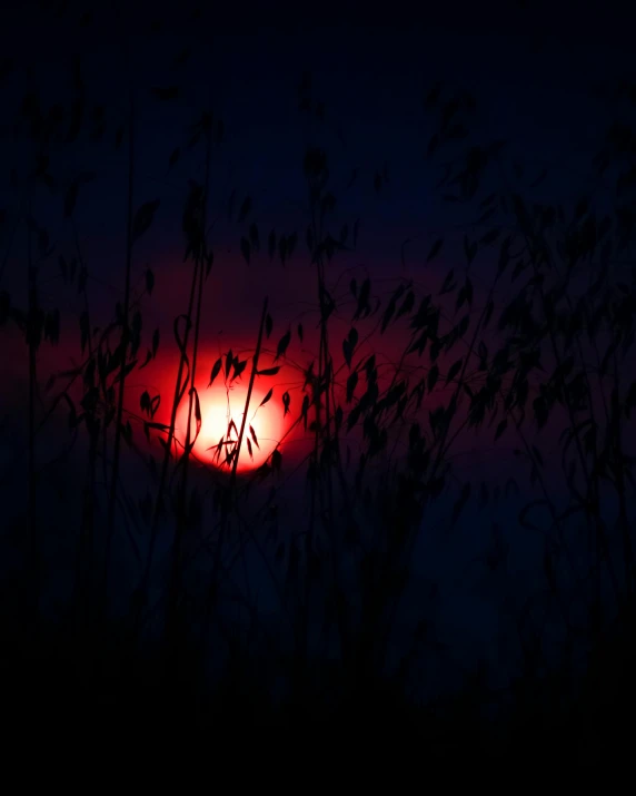 the sun is in a dark field that appears to be overcast