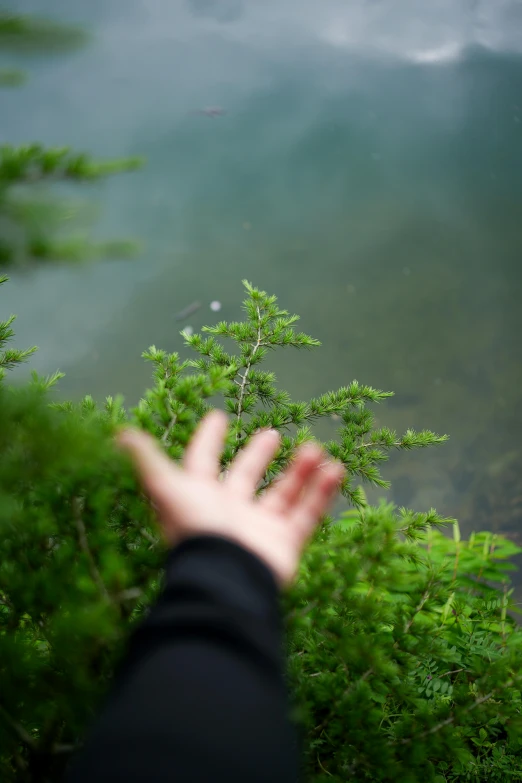 a person holding up their hand towards the water