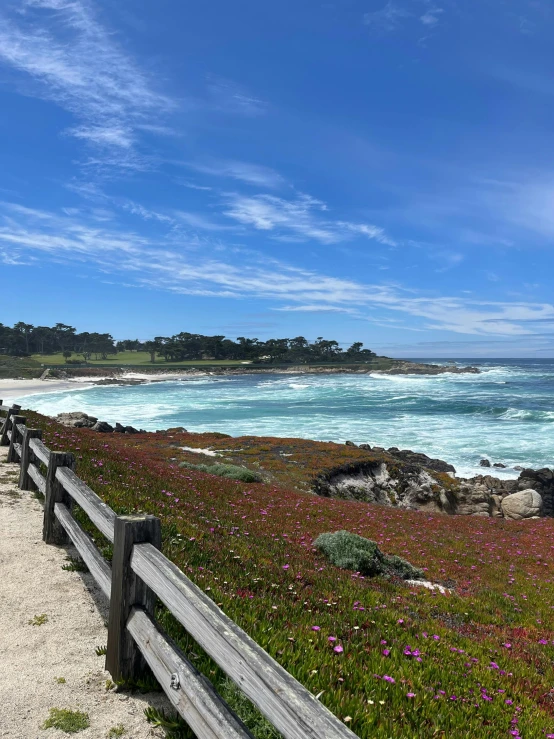 a bench overlooks a beach with bright green grass