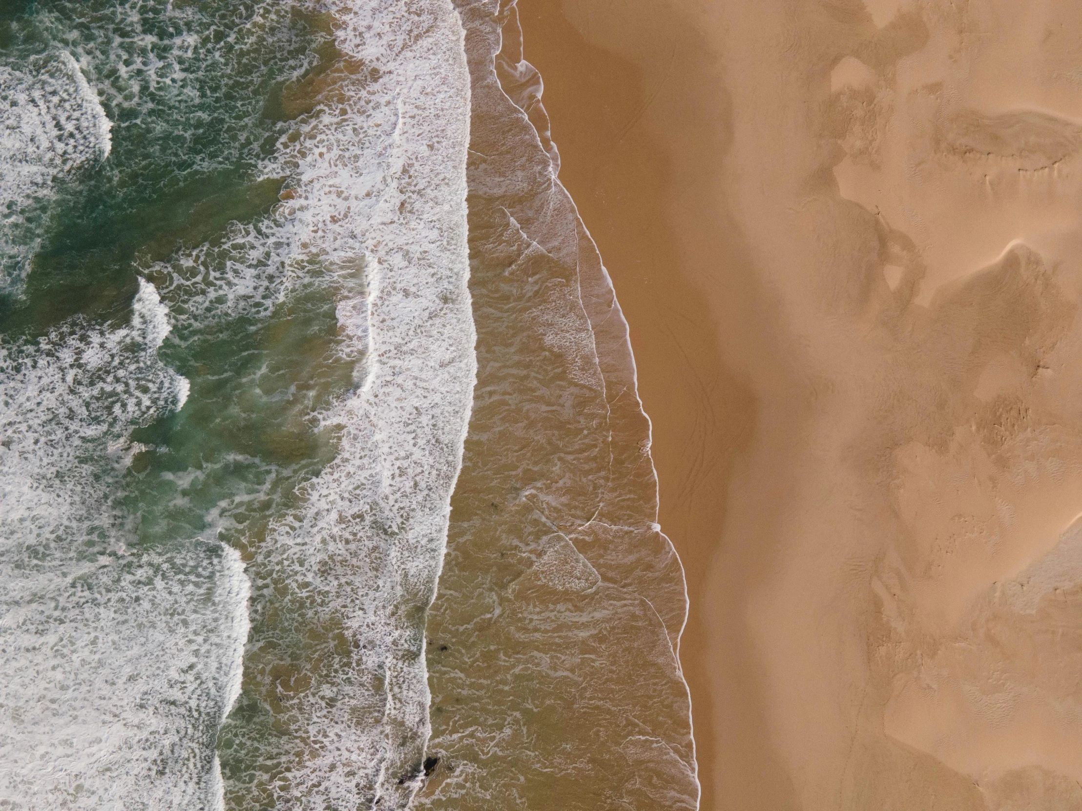 a small white boat is near the beach