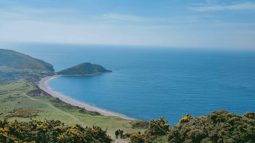 beautiful blue ocean water and green hills with yellow flowers