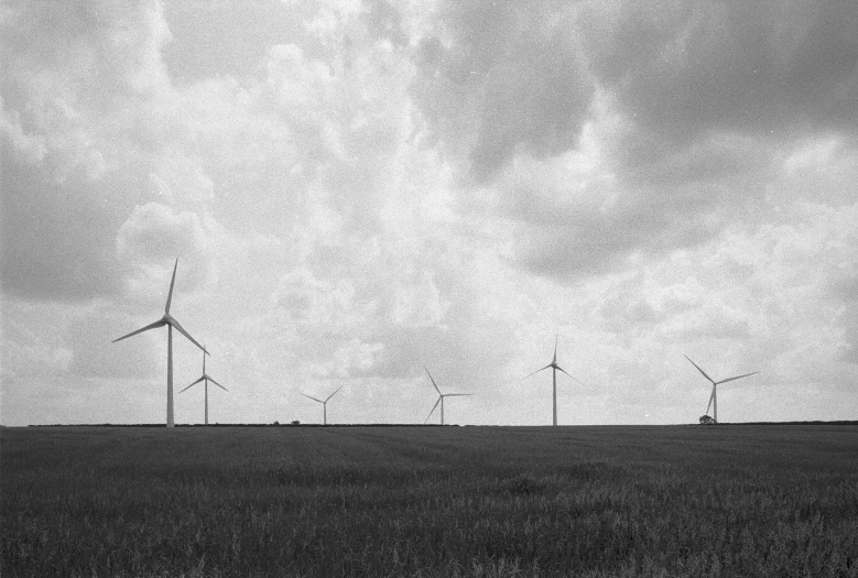 a number of wind turbines in a field