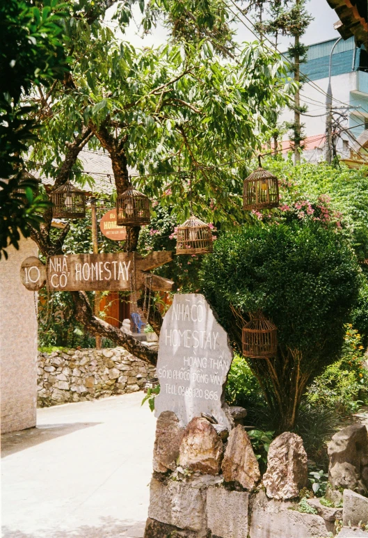 a park with trees, rocks and green plants