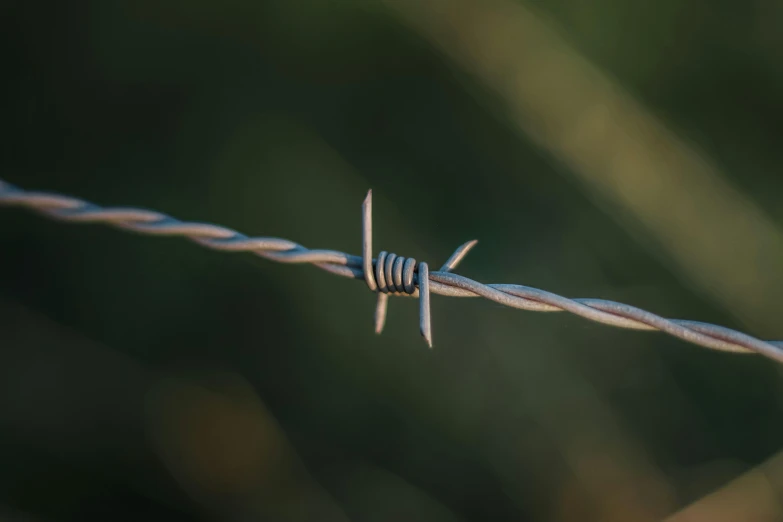 the barbed wire is all alone, with some barbed wire