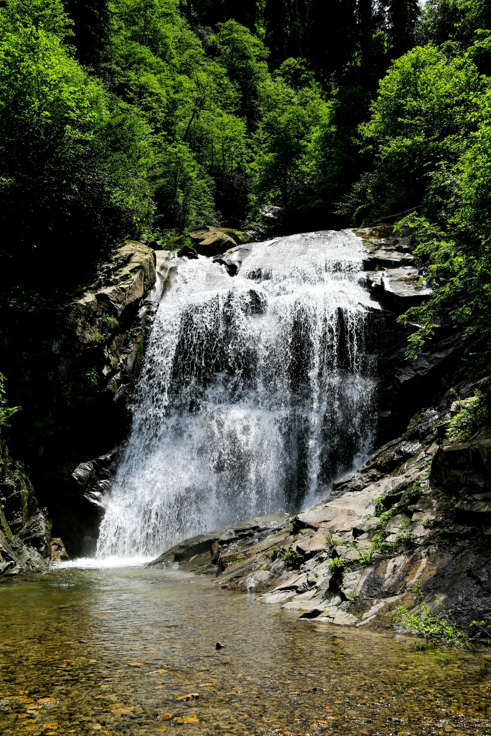 a waterfall in the forest has water flowing out of it