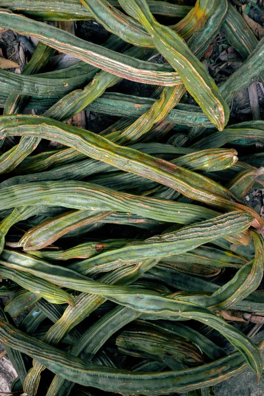 a pile of grass on the ground