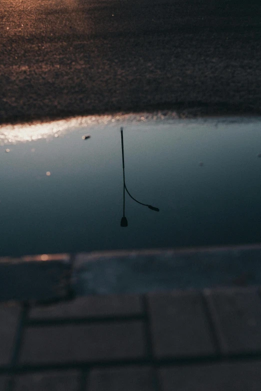 a pole stuck in the wet water on a sidewalk