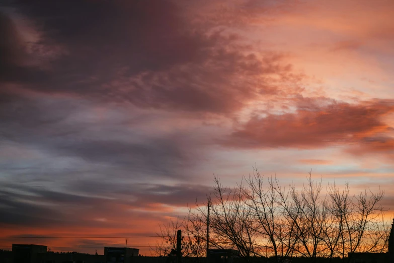 the sunset behind a large church spire, with bare trees