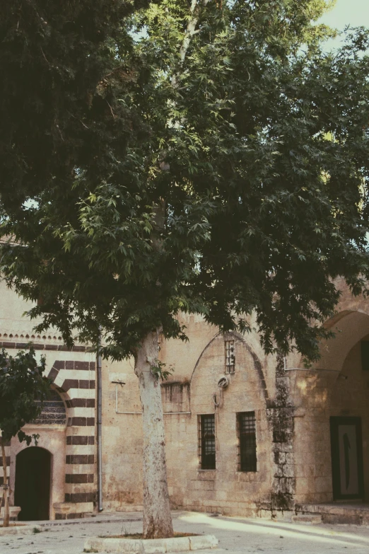 a stone building with a big tree