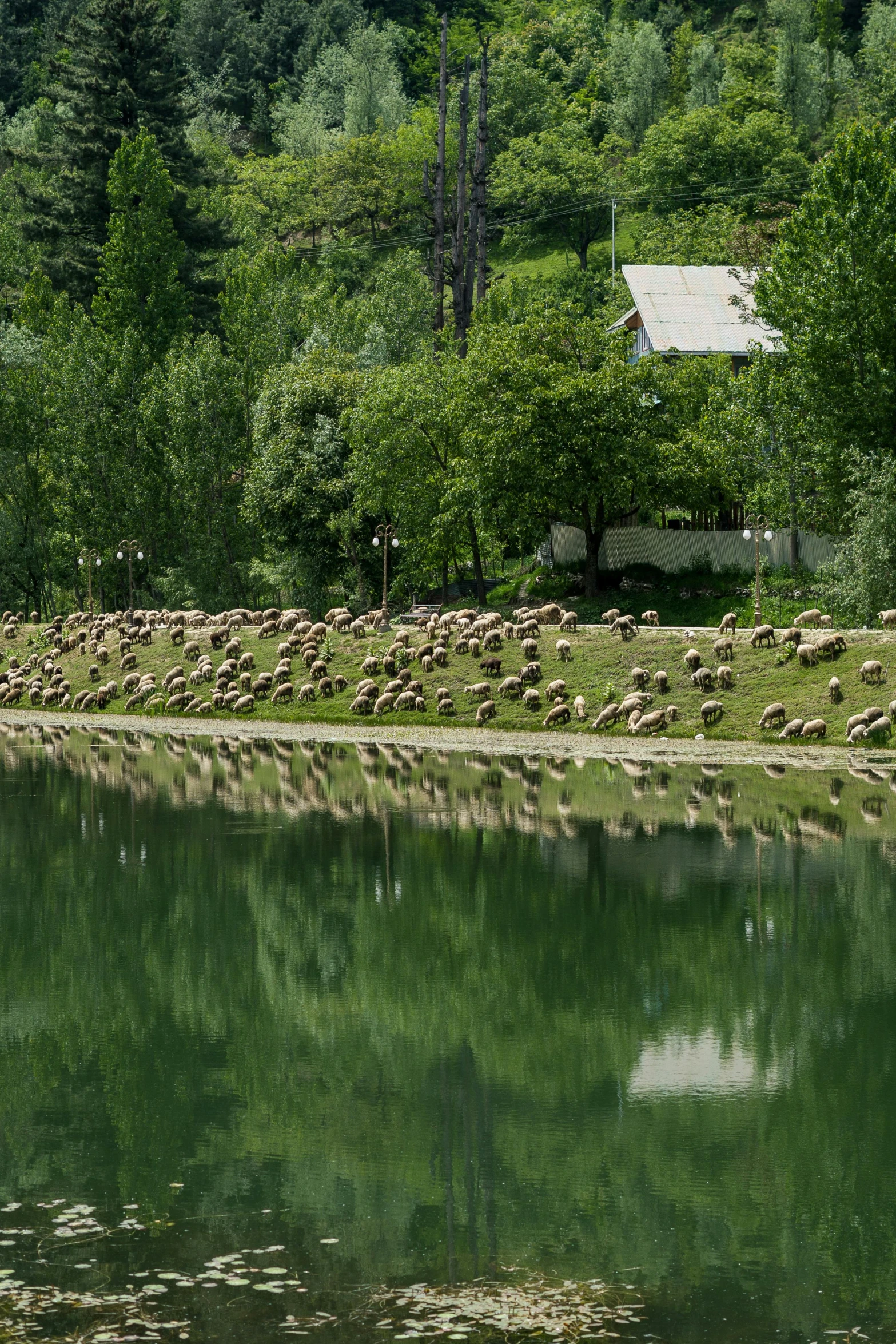 a view of the river with trees around it