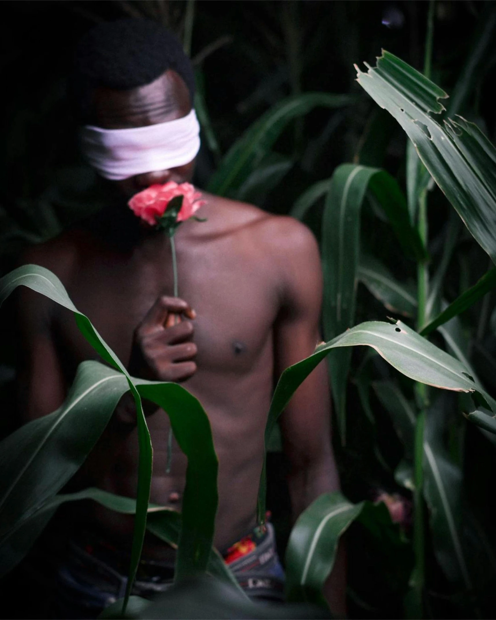 shirtless man holding flower in dark surrounded by green leaves