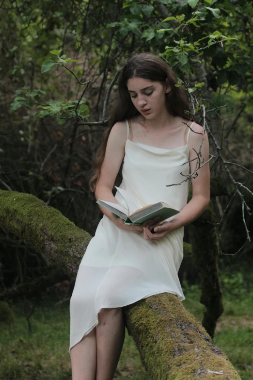 a woman is standing on a tree nch with a book