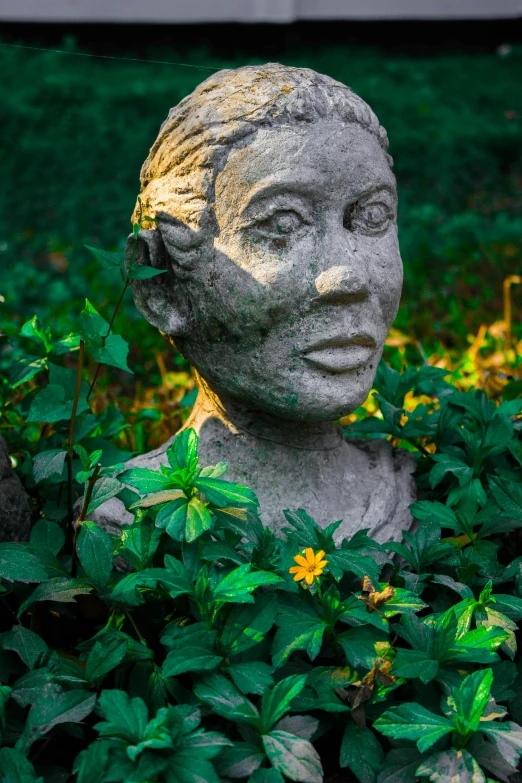 a statue sits among green leaves in a garden