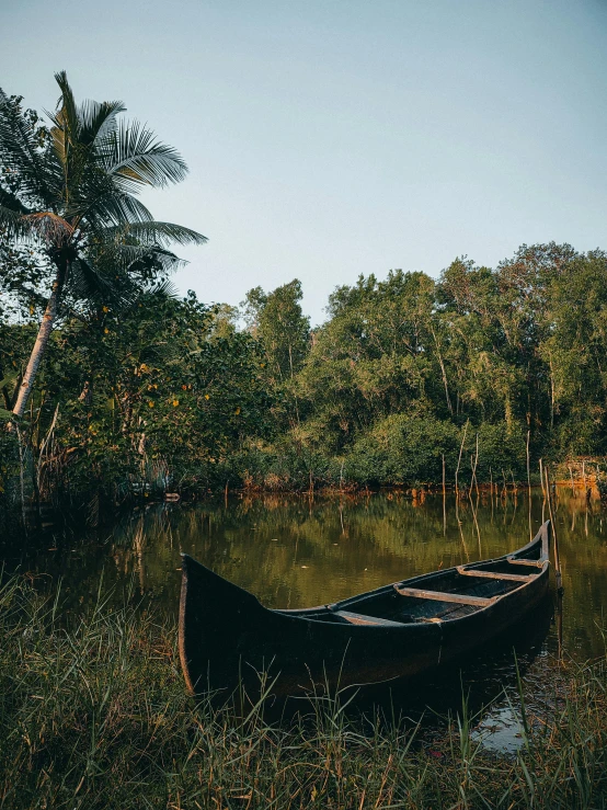 a canoe floating on top of a lake surrounded by trees