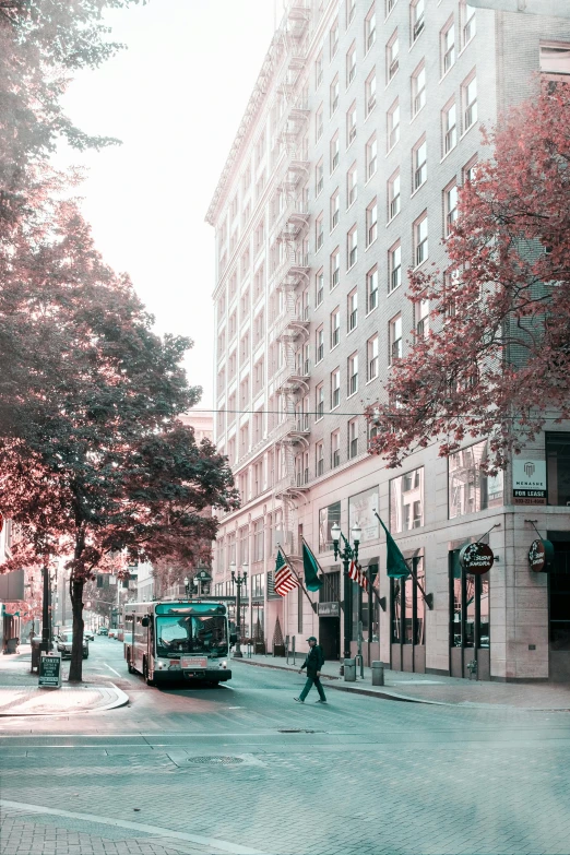 city street with a bus coming down it and trees