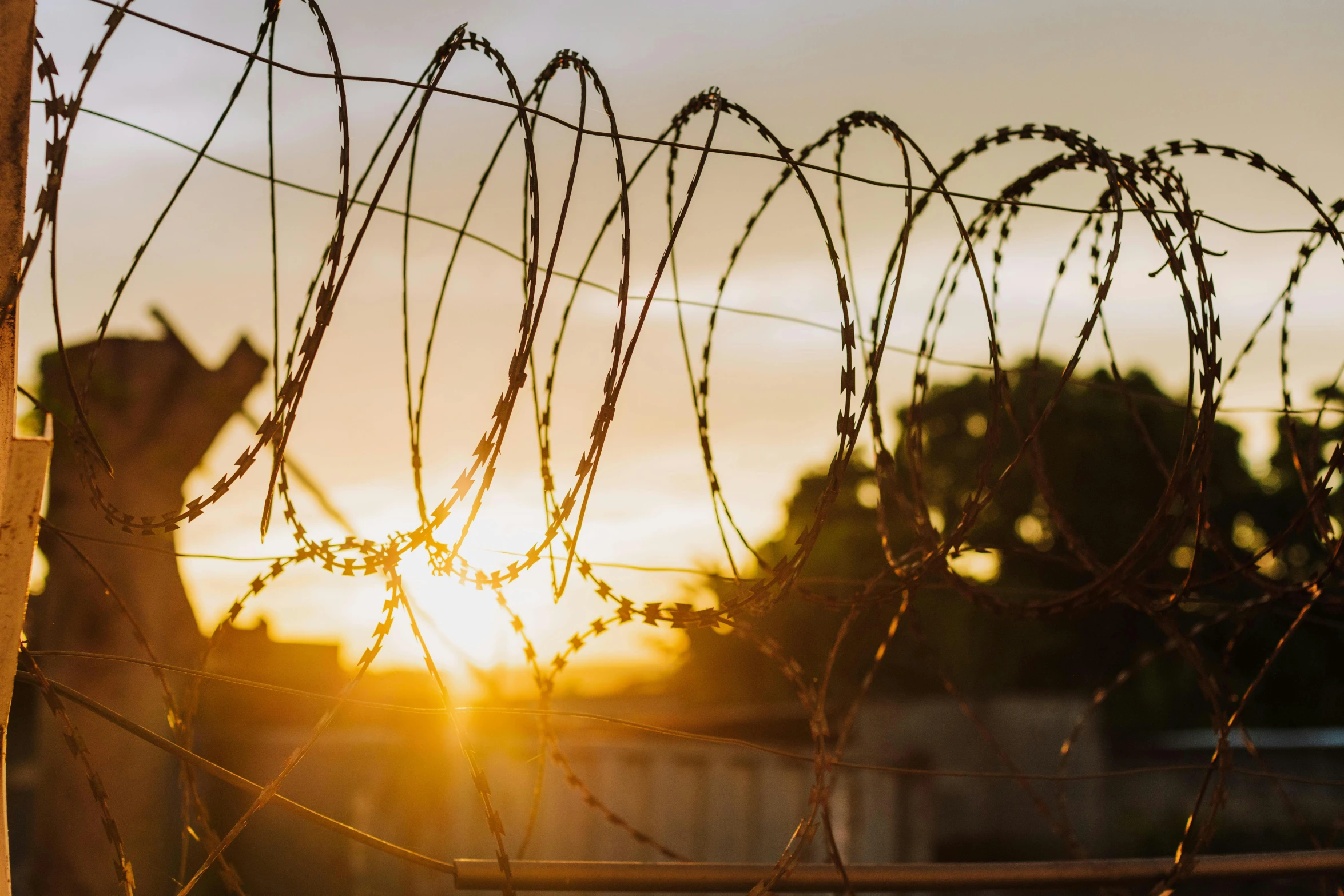 a close up of barbed wire with the sun setting behind it