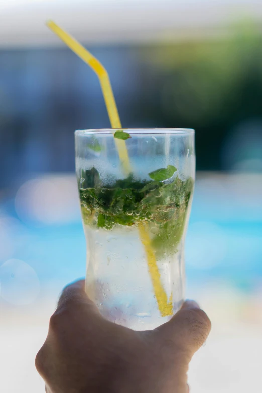 someone holding up a glass filled with water and fresh mint