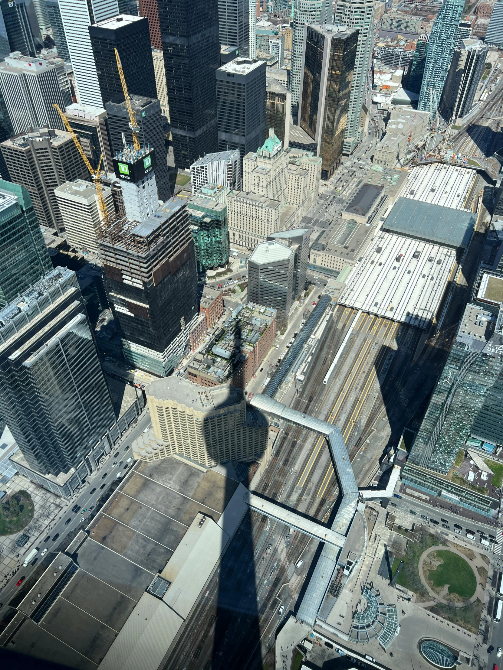 looking down at the skyscrs in the city