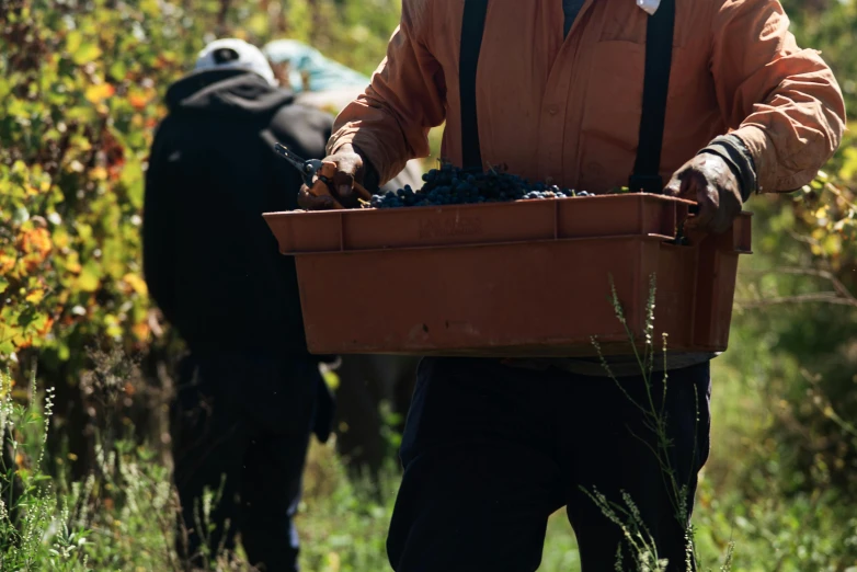 a man carrying a tray filled with gs walks on a path