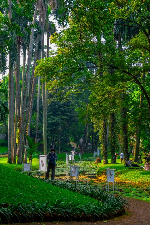 the man is doing his work in the park