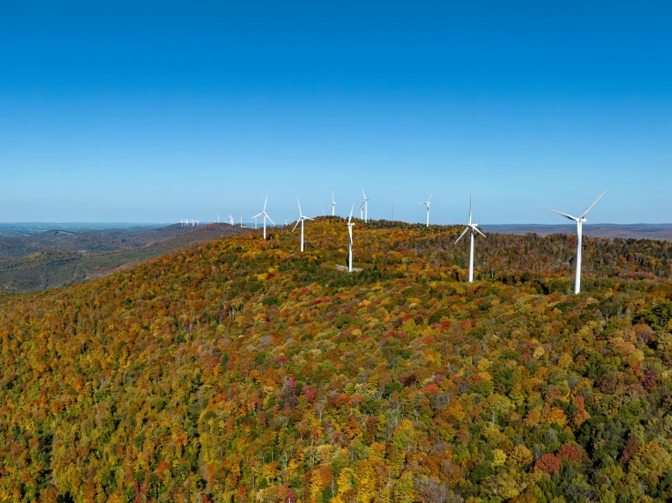 multiple wind turbines on top of a hill