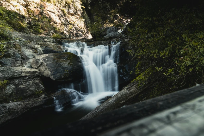 a stream flowing into the forest