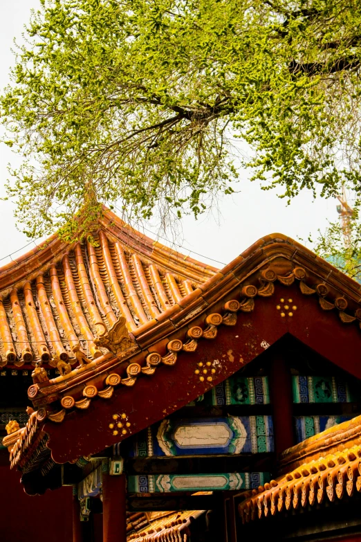 an asian style building with green foliage on top of it