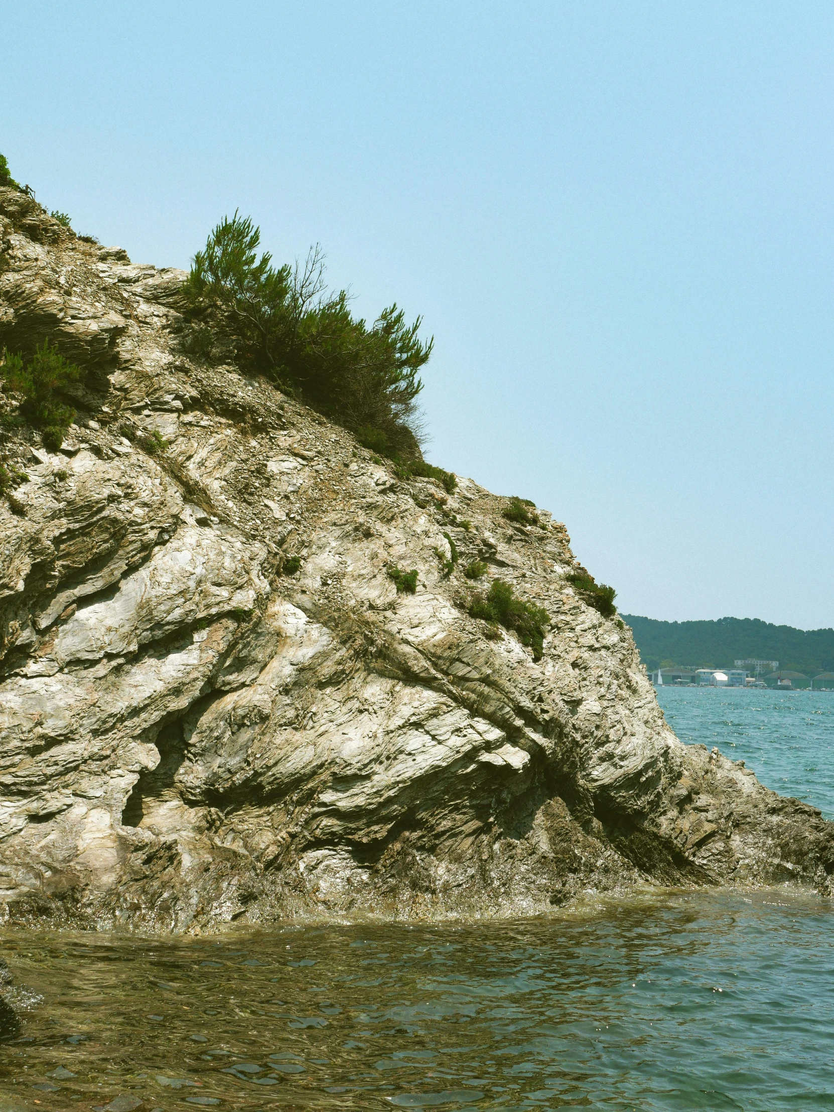 a lone bird standing at the top of a cliff by the ocean