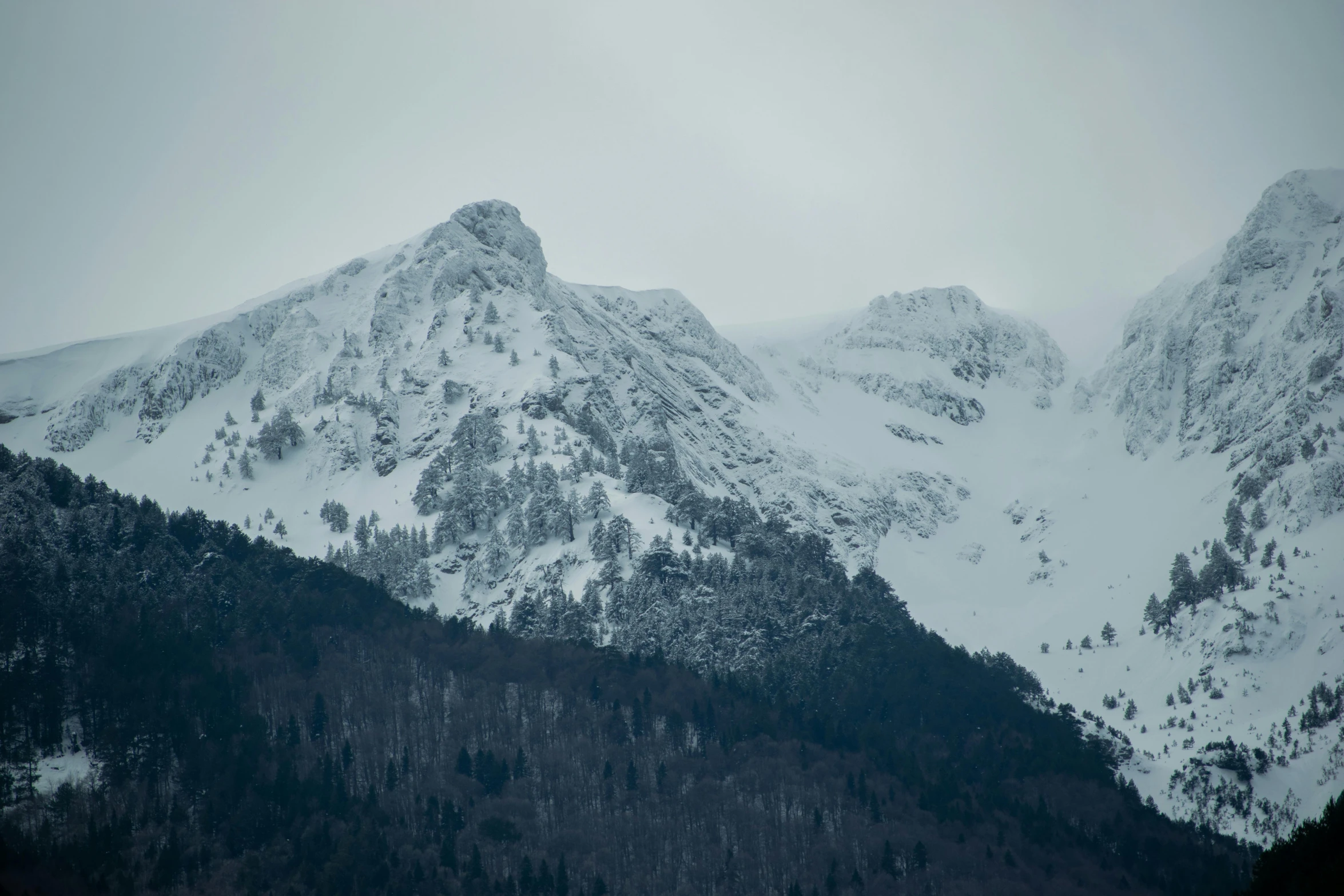 a snowy mountain covered in snow and trees