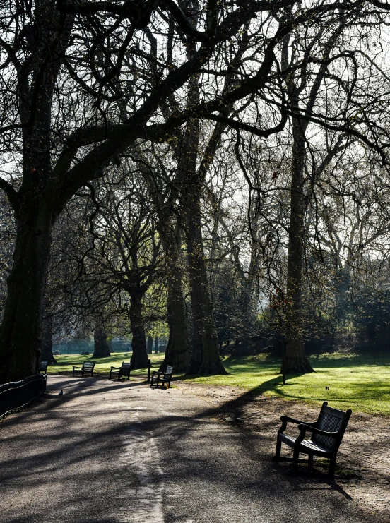 a bench sitting next to lots of trees in the middle of a field