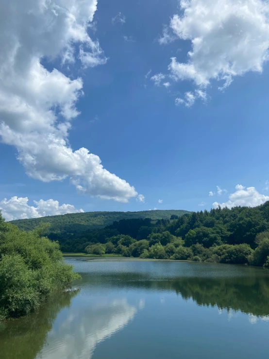 the water has many layers of thin green trees around it