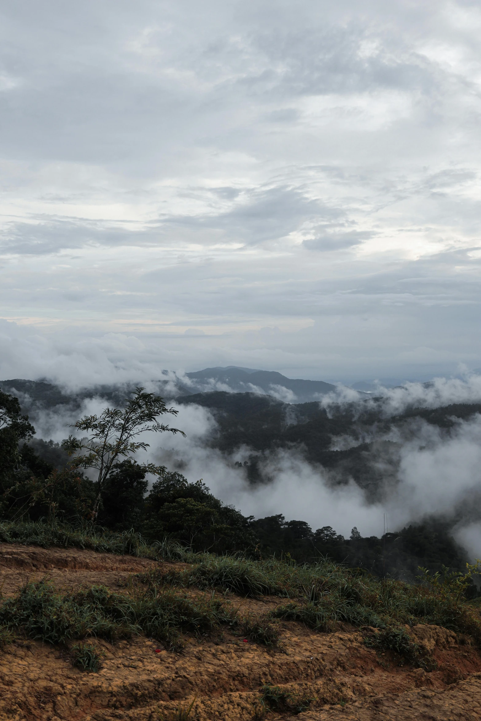 fog in the valley where there is a lone person sitting