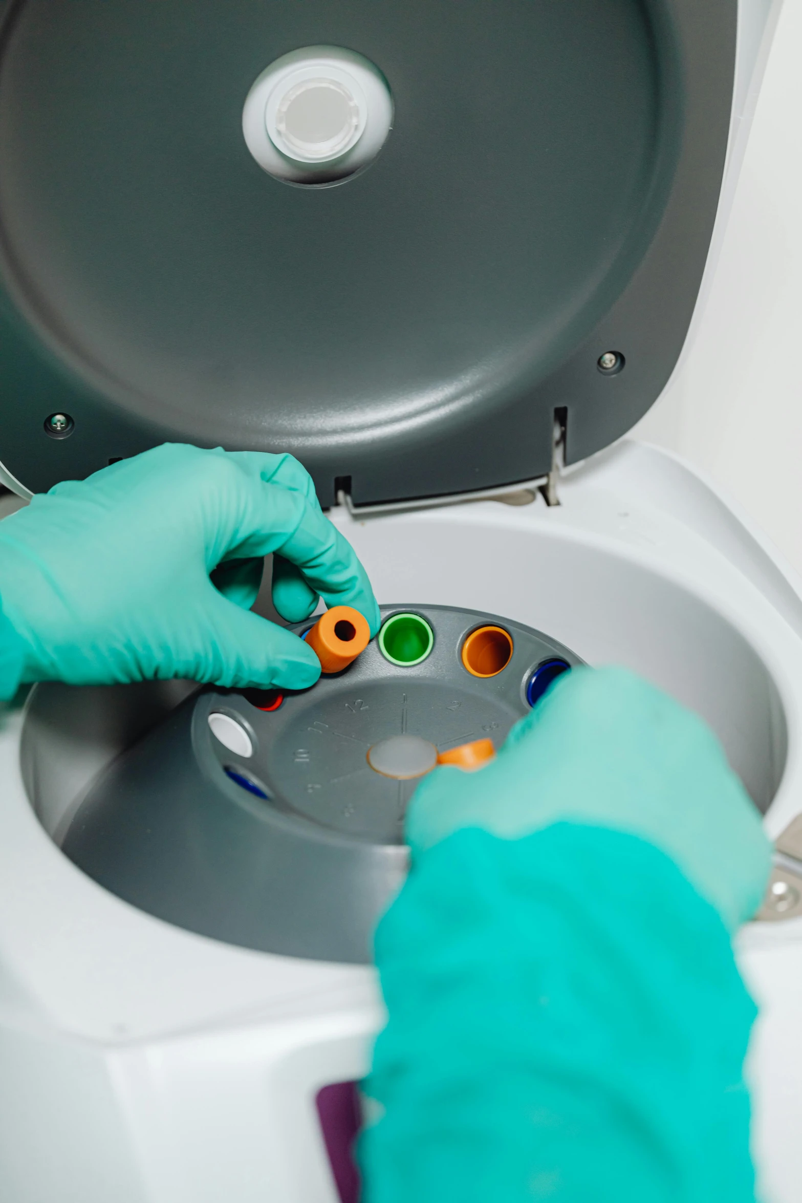 someone in blue gloves is cleaning a white toilet