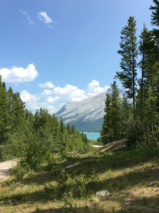 an empty road in the woods with mountains in the background