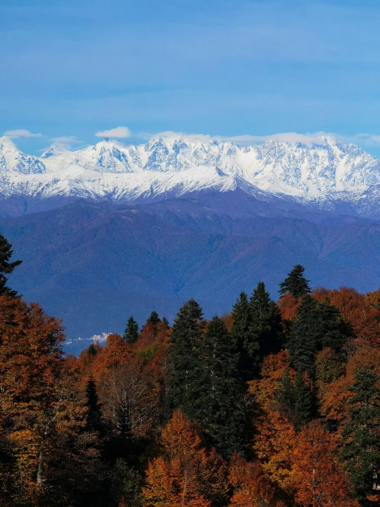 snow - capped mountain peaks are in the distance with autumn colored trees