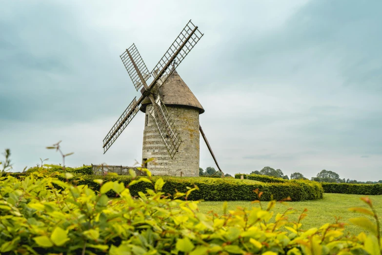 a windmill on top of some plants in a field