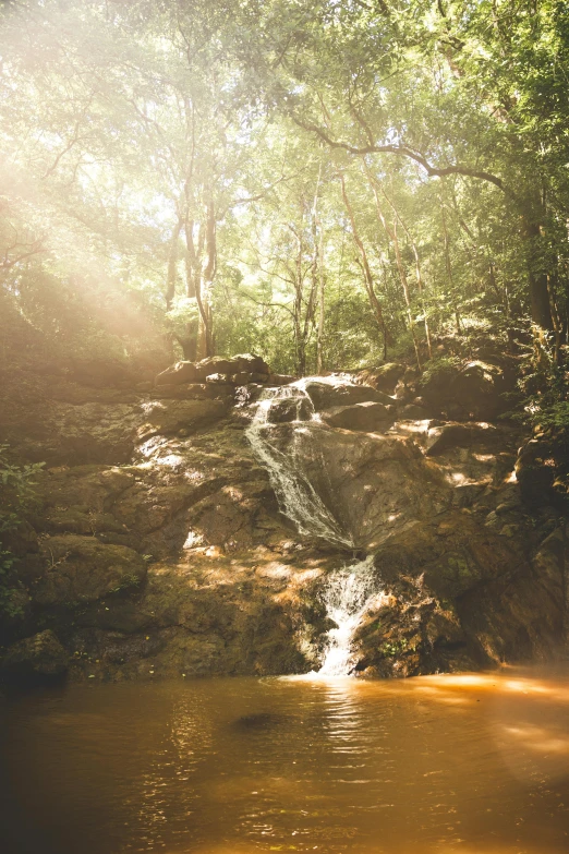 a small waterfall in the middle of a large forest