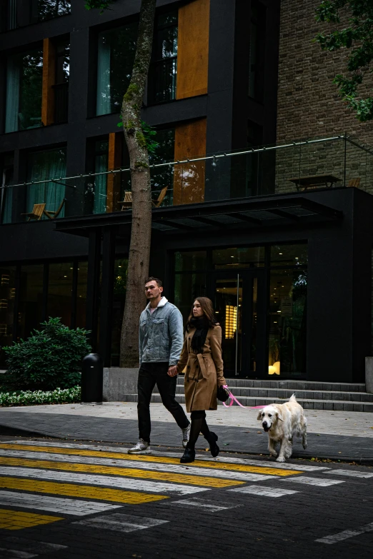 two people and a dog crossing the street at night