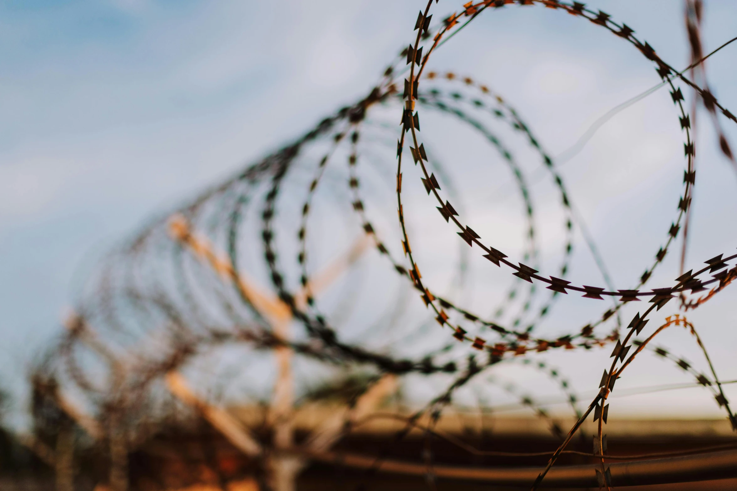 a close up image of barbed wire against a clear sky