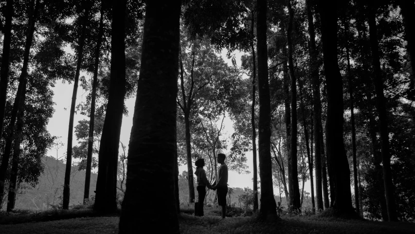 two people standing in the woods near some trees