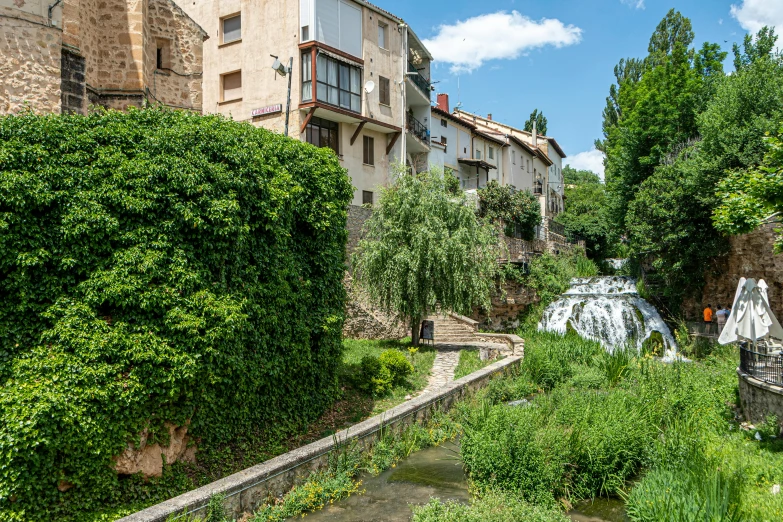 a river in a green park with houses and trees