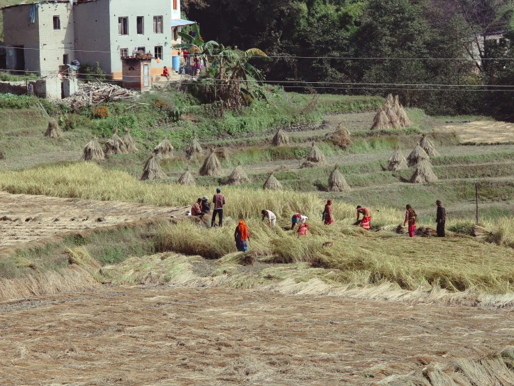 a group of people standing around a lush green field