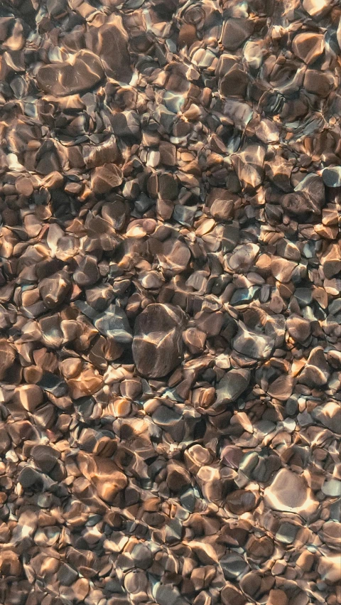 the pebbles are a very soft thing on the beach